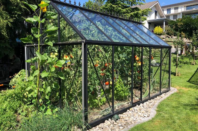 Greenhouse-90655-81263