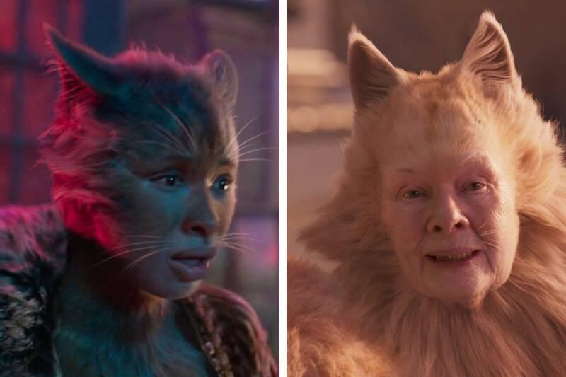 cats 2019