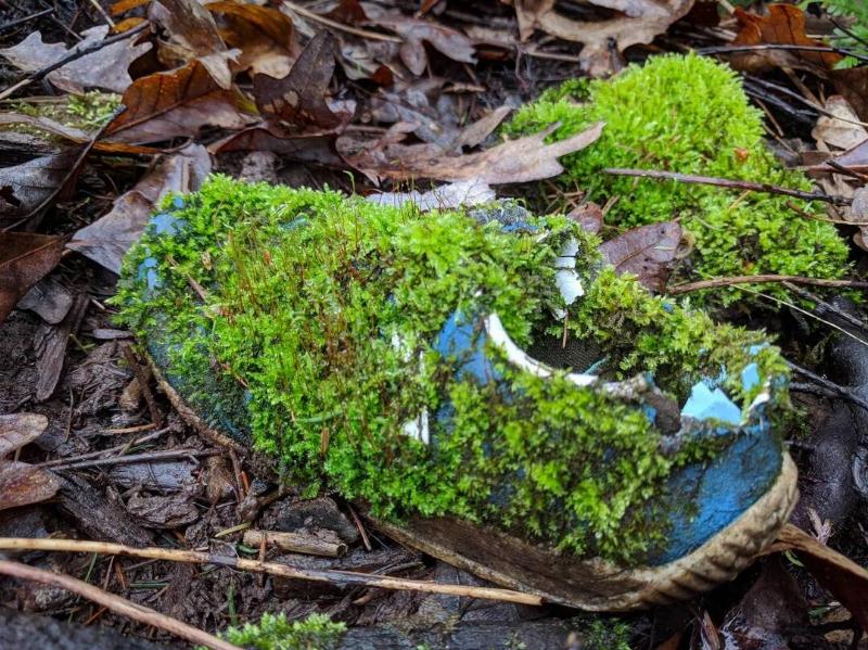 nature-has-reclaimed-this-childs-shoe-i-found-in-the-woods-v0-CAB7wvzY8ryNS-Ui3nc5ZgPkaeHeoTSTvqwJrGGAho4 (1)