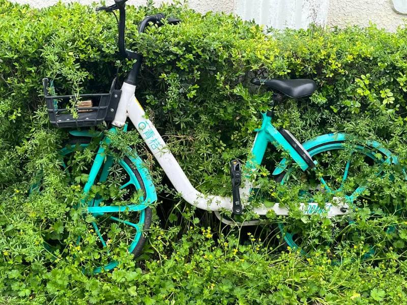 nature-swallowing-a-bicycle-in-locked-down-shanghai-v0-o3a0feiml8w81