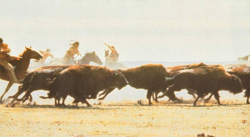 dances-with-wolves_pRgQXX