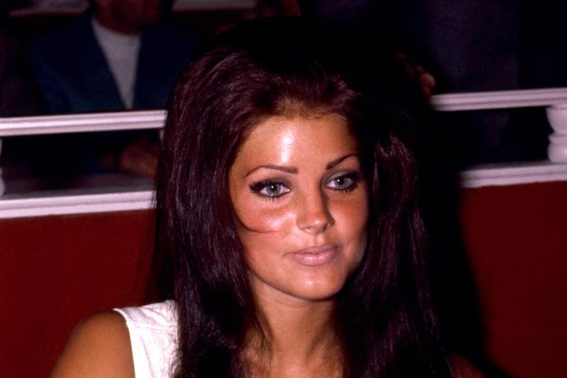 Priscilla Presley Portrait