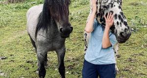 Hilarious and Confusing Images That Will Make You Look Twice – How is This Even Possible?