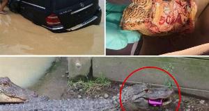 Side-Splitting Photos Of Times When People Made Unfortunate Mistakes And Had To Pay The Price