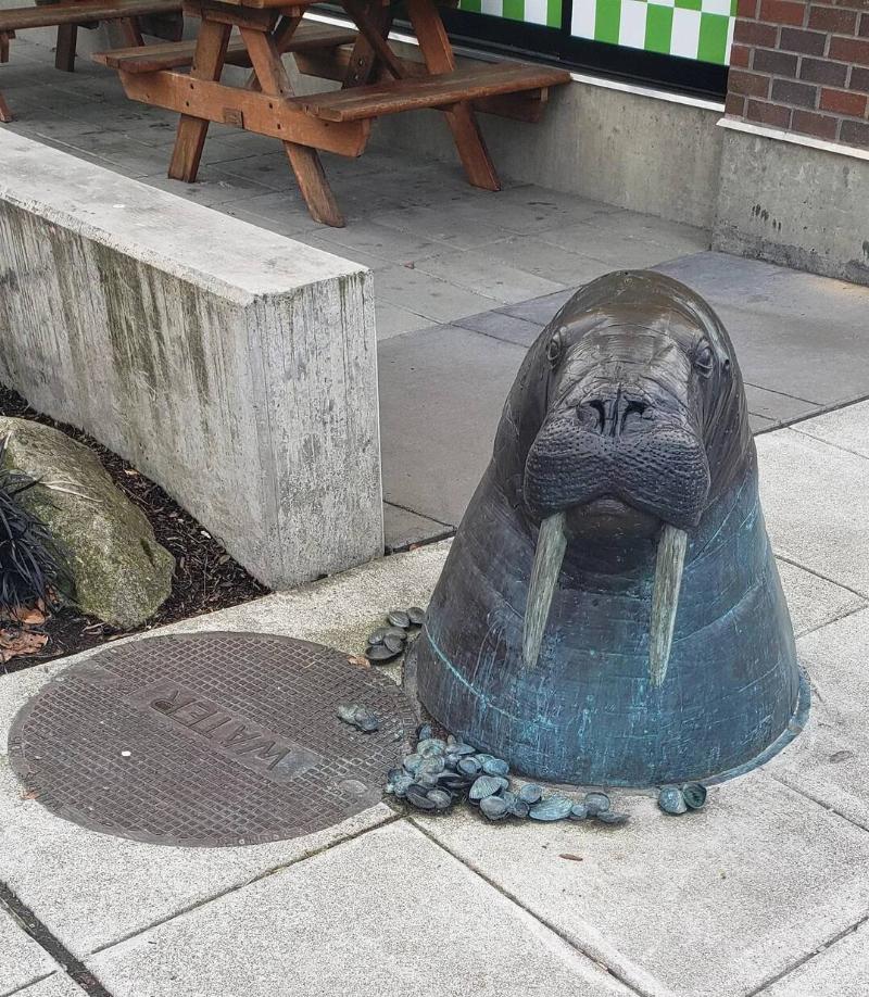 the-sewer-walrus-is-judging-you-v0-2ndxn00x08xg1