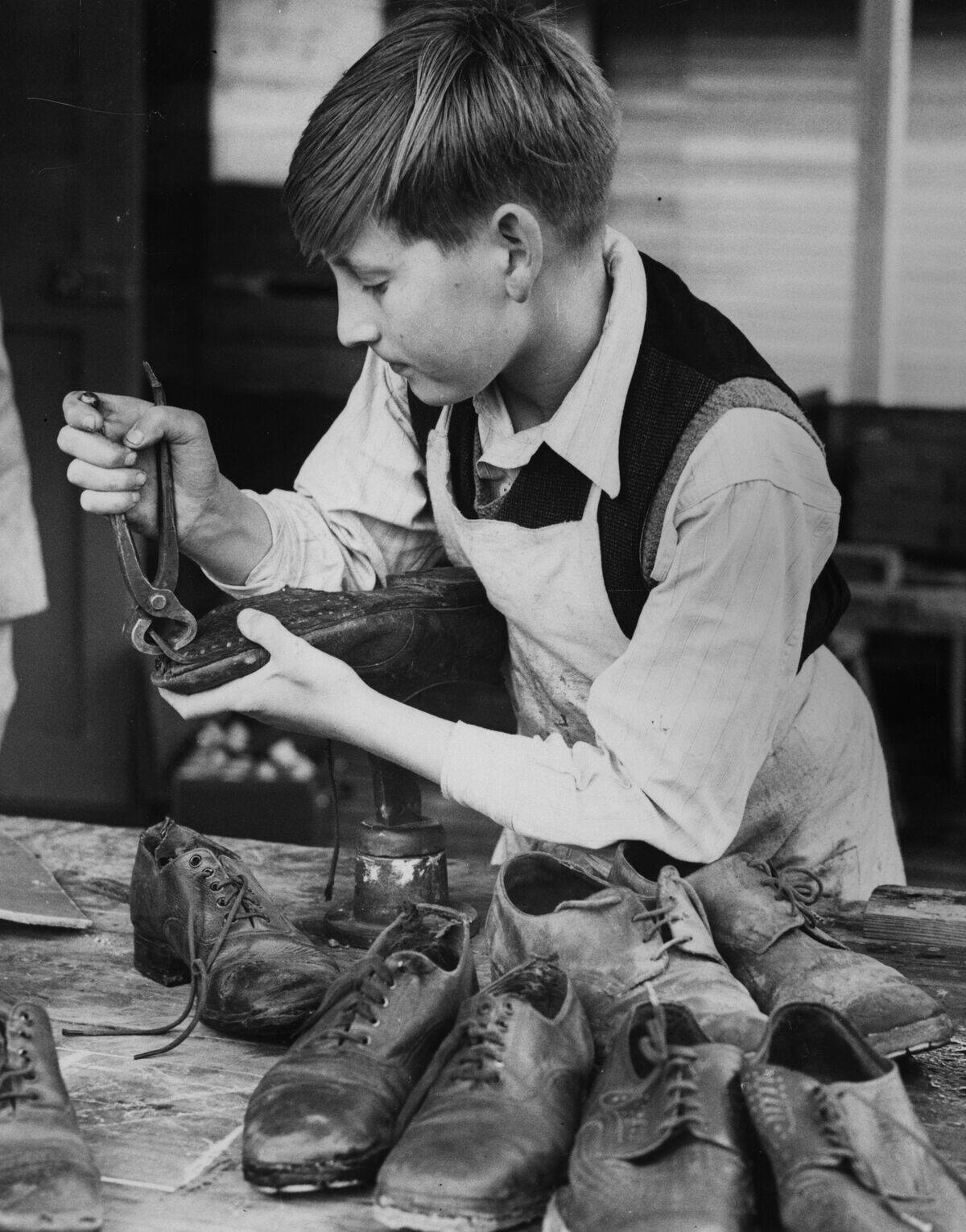 Trainee Cobbler
