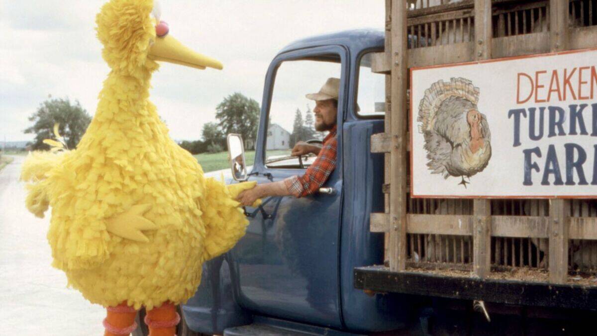 follow-that-bird_otyRoZ