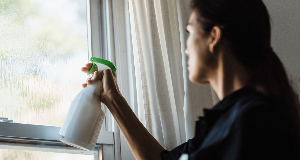 The Best DIY Window Cleaner Recipe (Just Three Ingredients!)