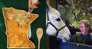 Signs You Grew Up in the Upper Midwest