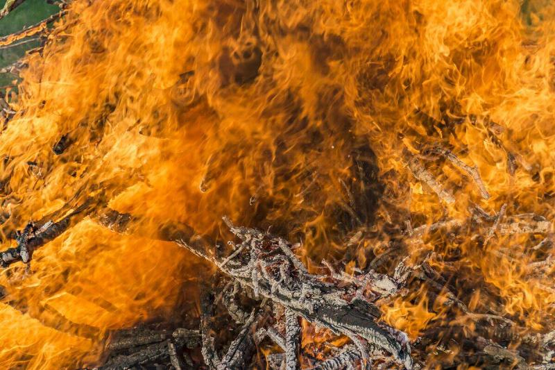 Close-up of burning embers in a roaring bonfire