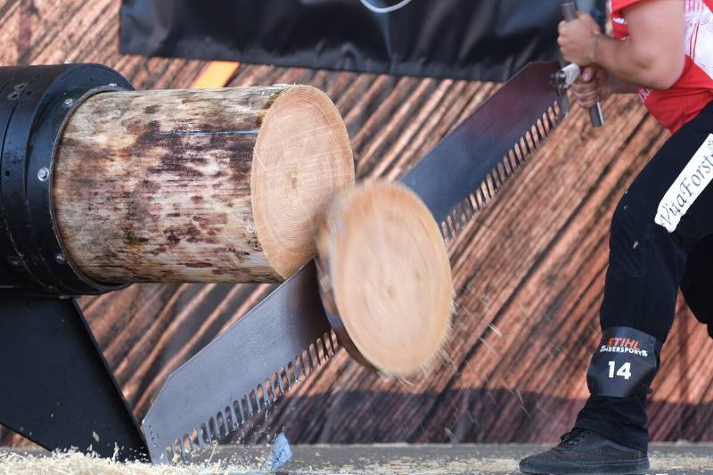 German championships in sports wood felling