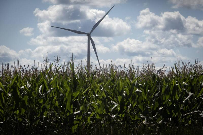 Midwest Farms Look Forward To Plentiful Harvest