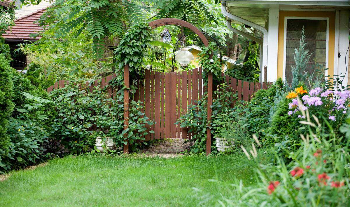 homesecurity5 A wooden gate with an archway leading out of a lush backyard.