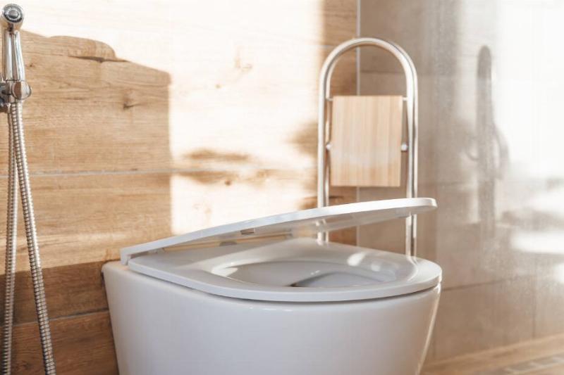 349 Smart toilet