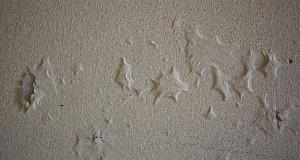 Paint Won’t Stick? Here’s What’s Really Going On (And How To Fix It)