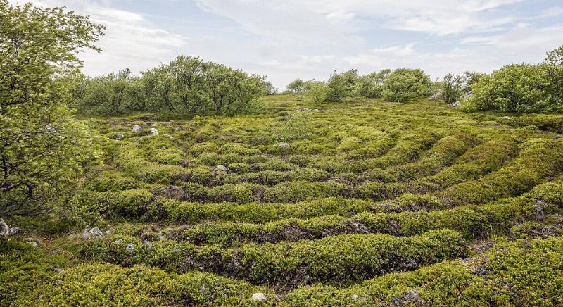 RUS-2016-Bolshoi_Zayatsky_Island-Stone_labyrinth_03