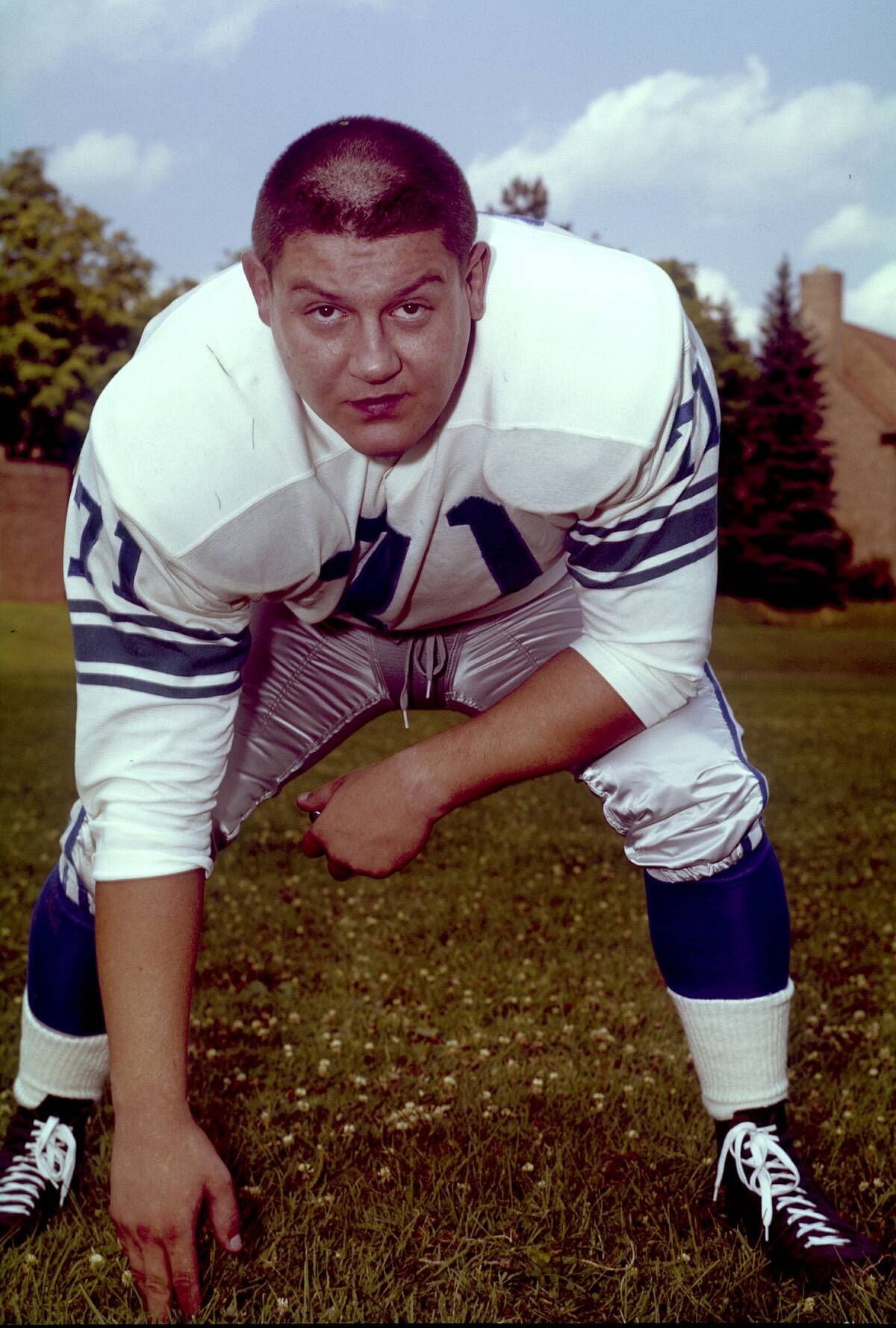 Detroit Lions