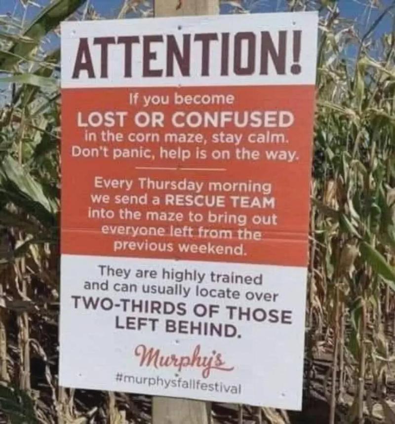 lost-or-confused-v0-z1mapf1wot8h1