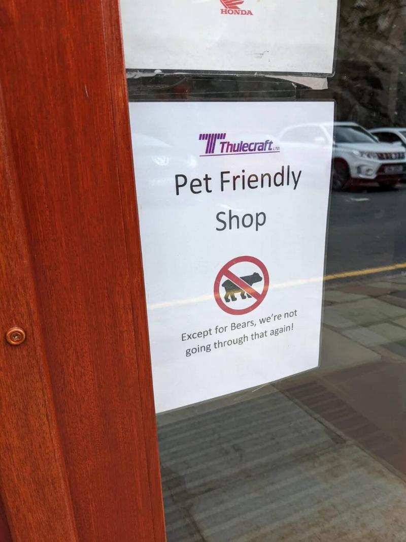 pet-friendly-within-reason-v0-hsp7wm65v89h1