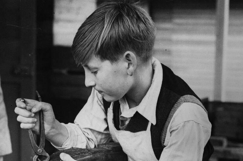 trainee-cobbler-36532