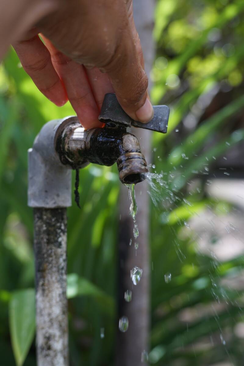 Open water valve in backyard.