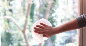 Unbelievable Uses for Coffee Filters Beyond Brewing