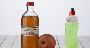 4 Effective DIY Fly Traps to Eliminate Indoor Infestation