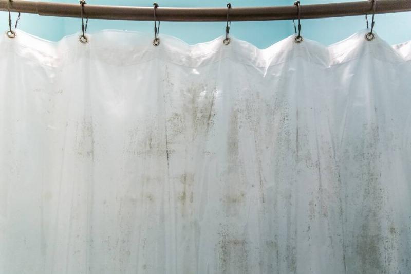 Mildew on a shower curtain.