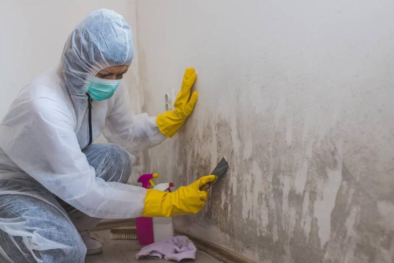 A professional cleaning mold.