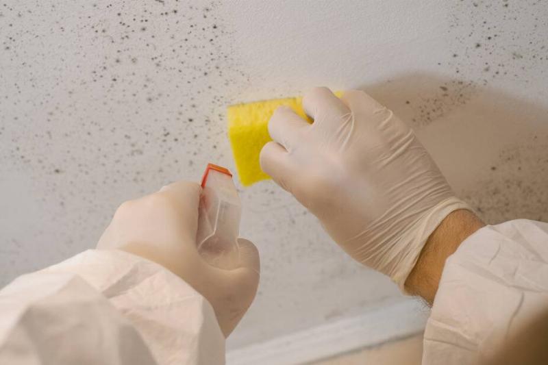 Hands using cleaner to remove mold and mildew.