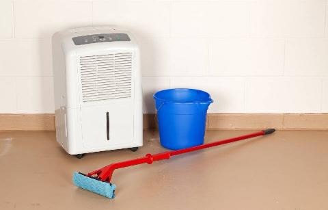 Dehumidifier, mop and bucket. 