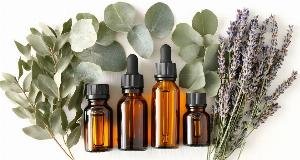 Repel Mosquitos The Natural Way With These Essential Oils