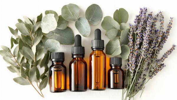 Three essential oils in front of a white background with three plants. 