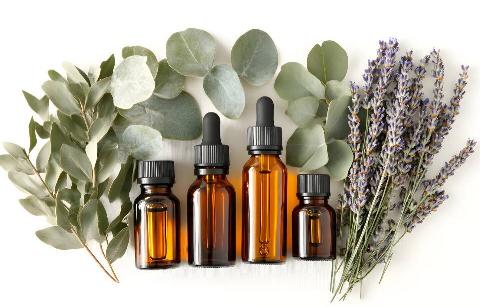 Three essential oils in front of a white background with three plants. 