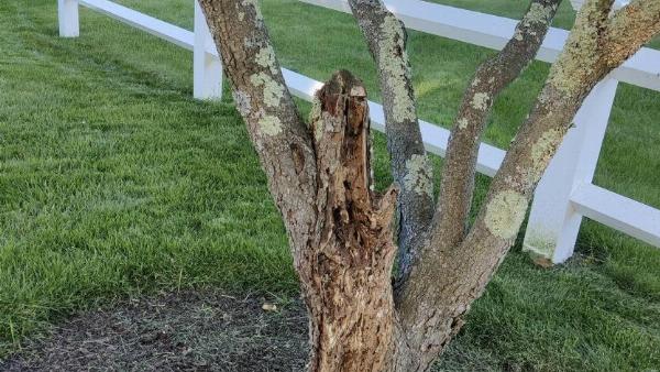 Screen-Shot-2024-02-06-at-9.57.59-AM-26868-47407-61938