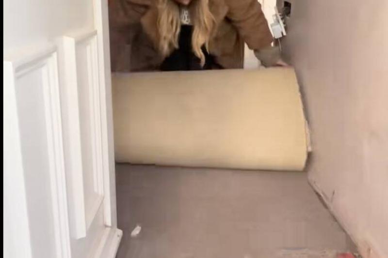 Скриншот 13.11.2025, 15.52.51 Тара поднимает ковер.