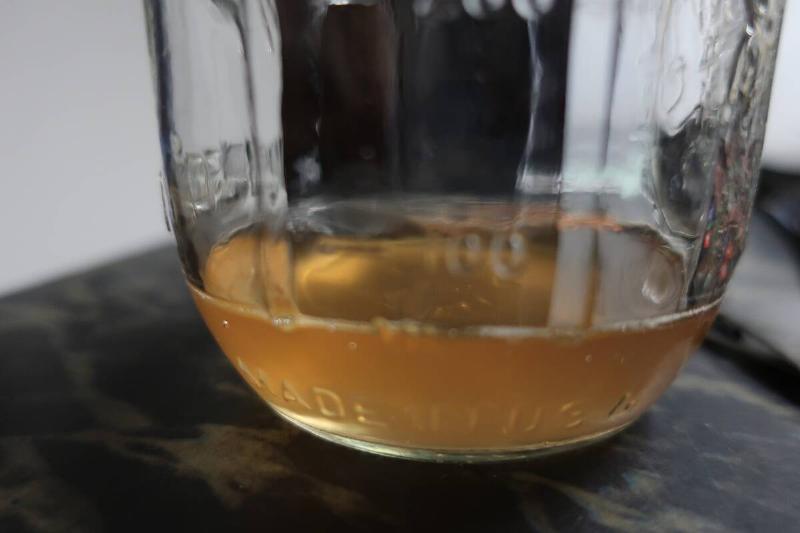 A mason jar holding more of the trap.