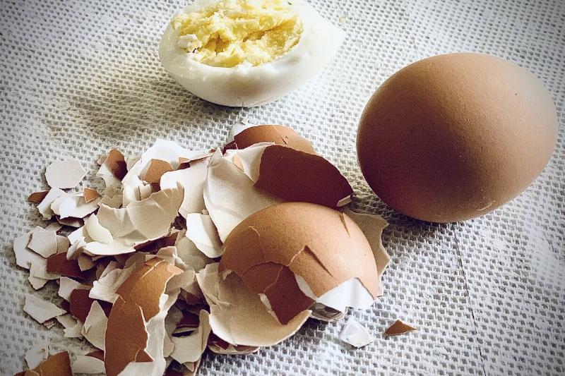 Eggshells and egg. 