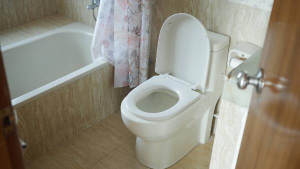 A clean toilet in a bathroom. 