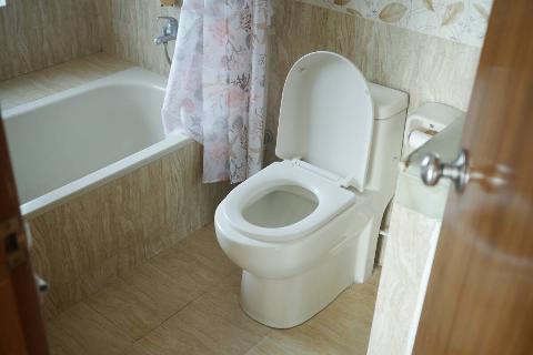 A clean toilet in a bathroom. 