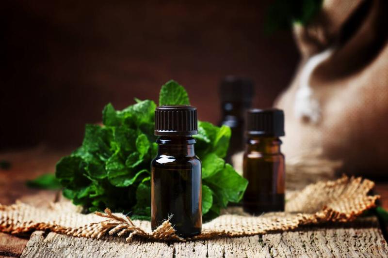 Peppermint essential oils with peppermint in the back. 
