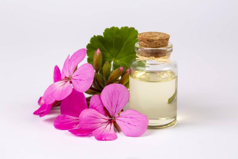Geranium flower and geranium essential oil.