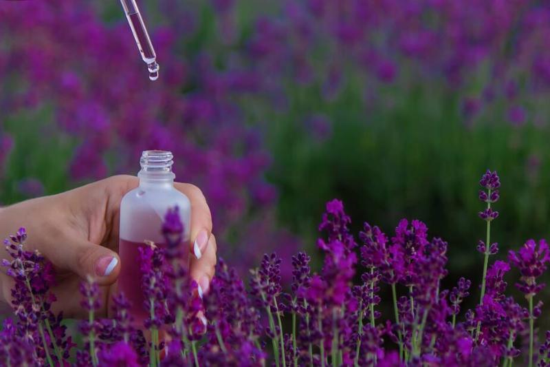 A bottle of lavender essential oil on a wooden table and a field of flowers background.