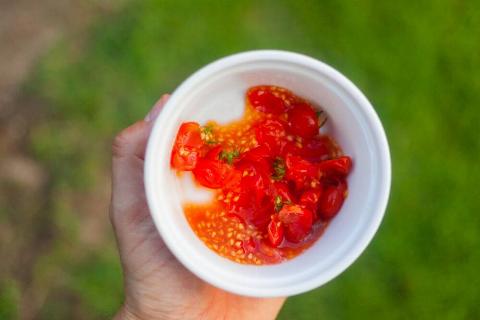 seedsaving-5original-23246