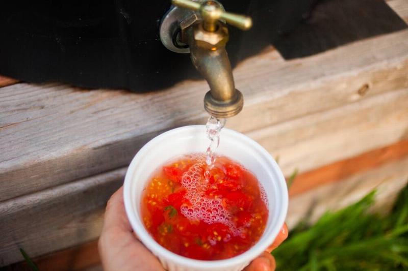 seedsaving-6original-49003