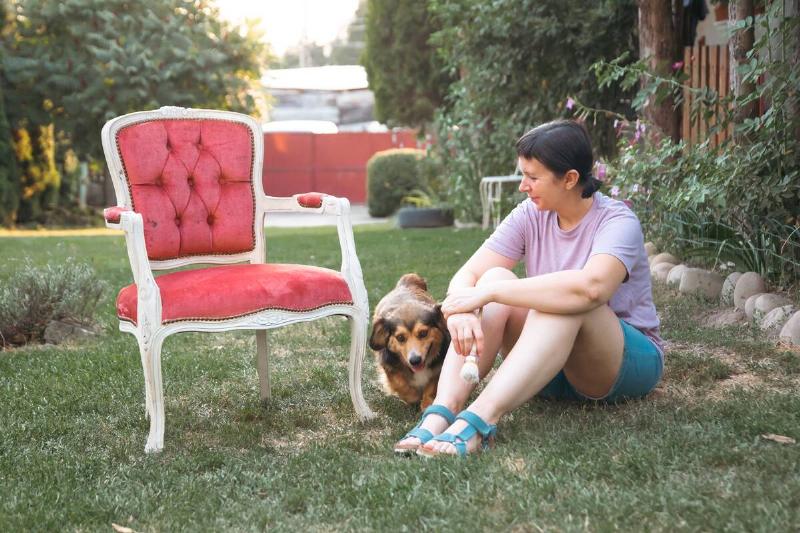 Woman painting wooden furniture in the yard with her dog.