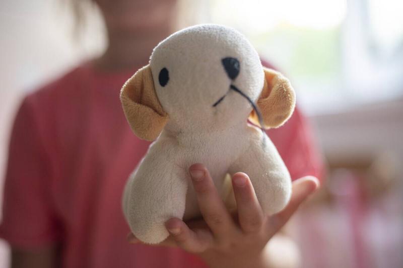 Stuffed animal toy. 