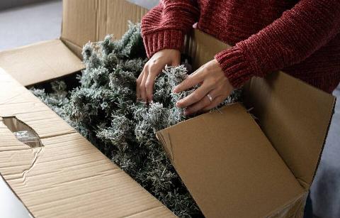 Woman putting fake Christmas tree in box. 