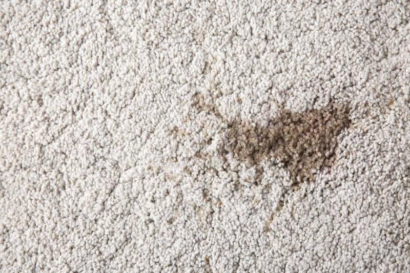 A grease stain on carpet. 
