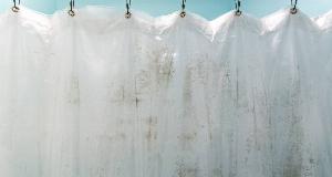 How To Keep Your Shower Curtain From Getting Moldy